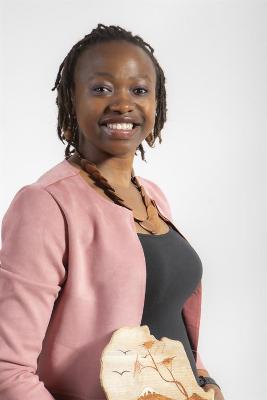 &copy; Alle Rechte vorbehalten